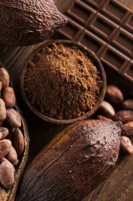 Sanhui Cocoa Dark Cocoa Powder 0.8%Maxfactory Direct Supply 4
