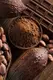 Sanhui Cocoa Dark Cocoa Powder 0.8%Maxfactory Direct Supply 4