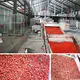 Cardamom Dryer Machine None - - ShouChuang 6