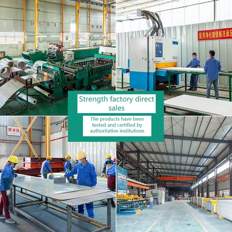 Clean Room Wall Systems Rock Wool Wholesale - SAMZOON 5