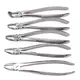Dental Instrument Companies Class II Wholesale - DINUO 6