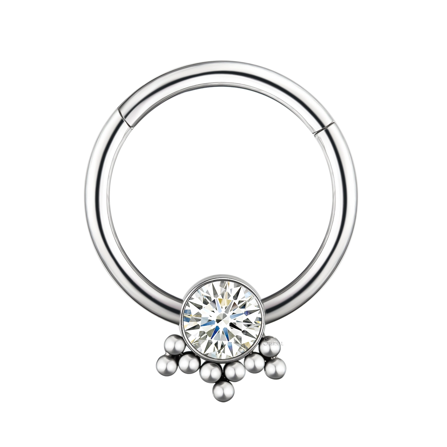 Eternal Metal 18g 16g 14g Astm F136 Titanium Hinged Segment Ring Nose Hoop Earrings Body Jewelry 1
