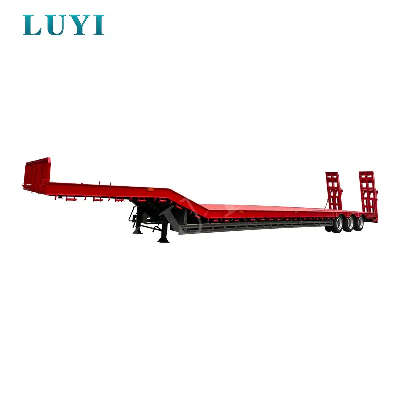 Randonnées personnalisables à 3 tonnes de 40 tonnes de 40 tonnes | Luyi 1