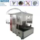 Ceiling Fan Stator Winding Machine Automatic by WEDE 6
