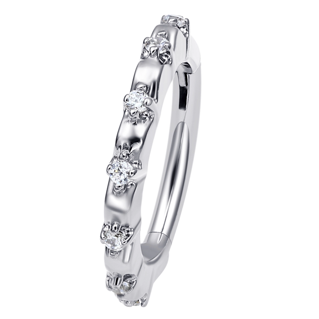 Claw Setting Cubic Zircon Eternal Mental Hinged Segment Ring Clear Cz Clicker Astm F136 Titanium Earring Nose Piercing Jewelry 1