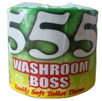 2-Ply Recycled Toilet Paper | Eco-Friendly for Latin America Market 1