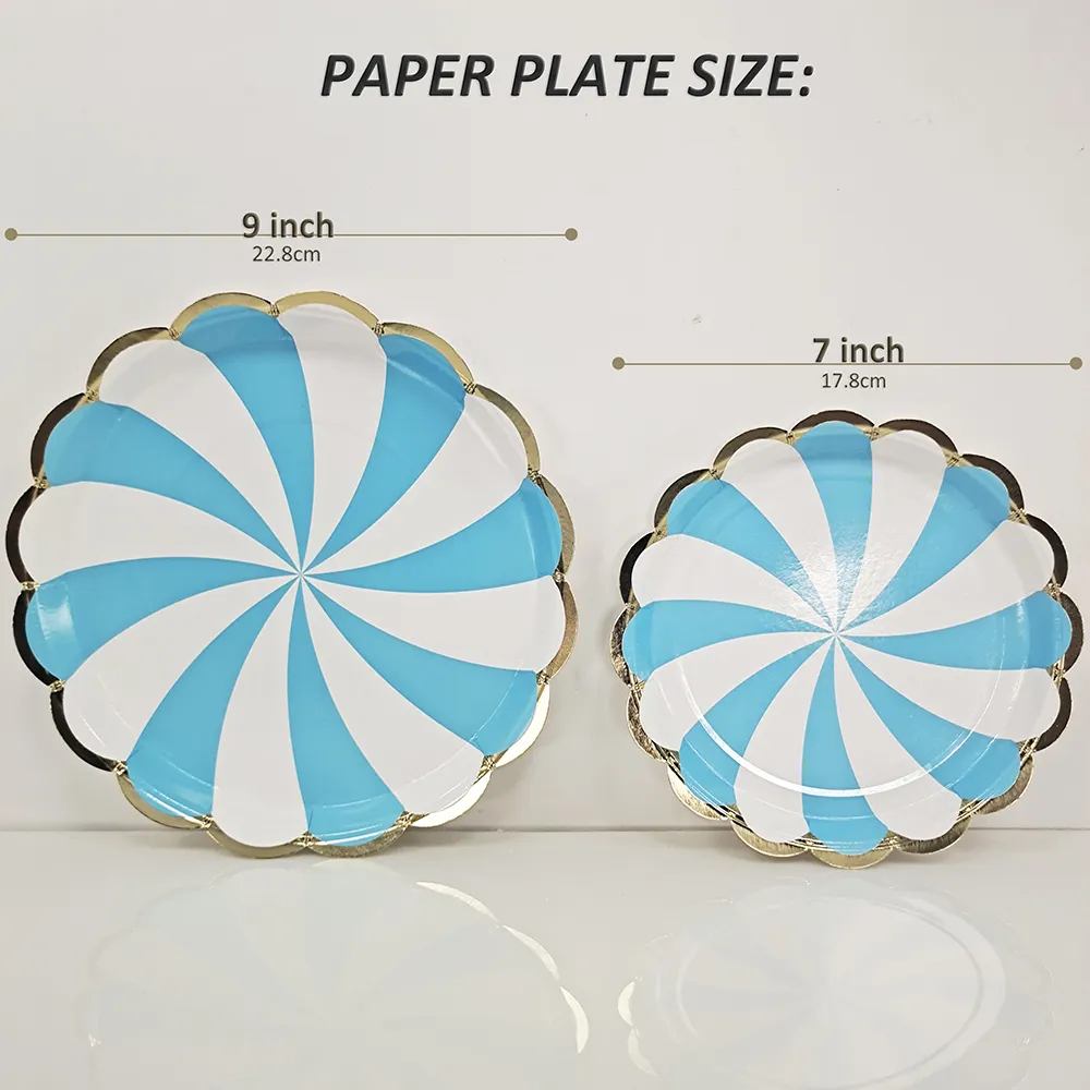 Cheap Custom Paper Plates 300g Coated Paper Printing - - Xiangsheng 5