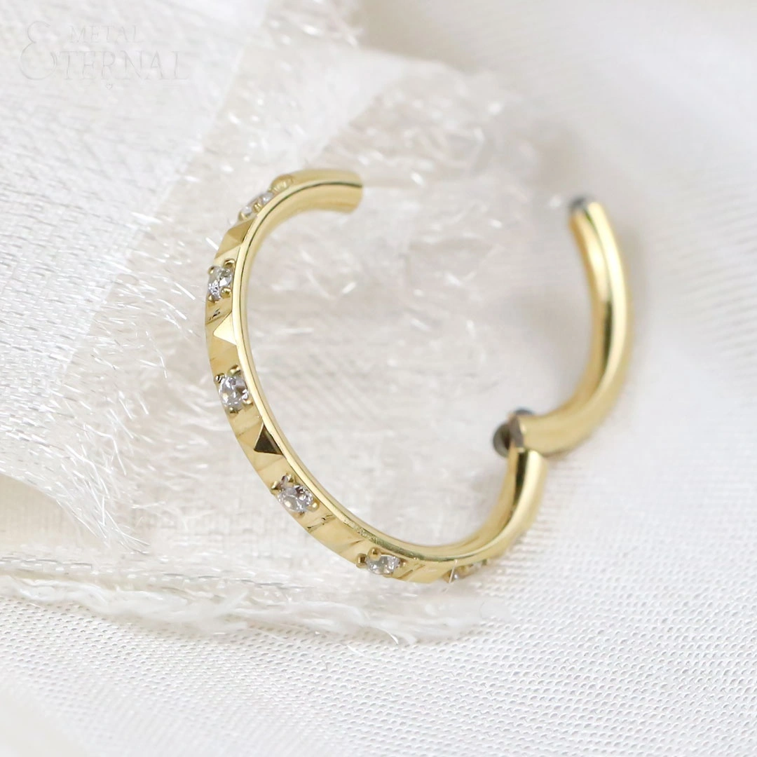 Eternal Metal Astm F136 Titanium Pvd Gold Cnc Setting Hinged Segment Hoop Clicker Ring Piercing Jewelry 1