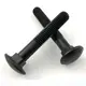 Carriage Bolts LWsuppliers 6
