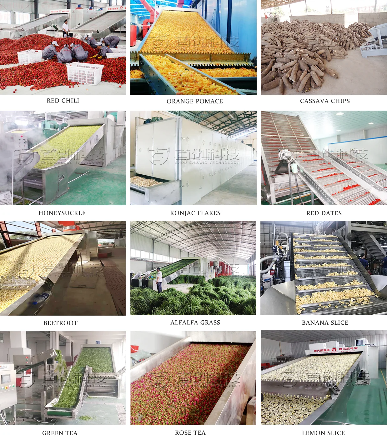 Fruit and Vegetable Dehydrator Machine Manufacturing Automatic 3
