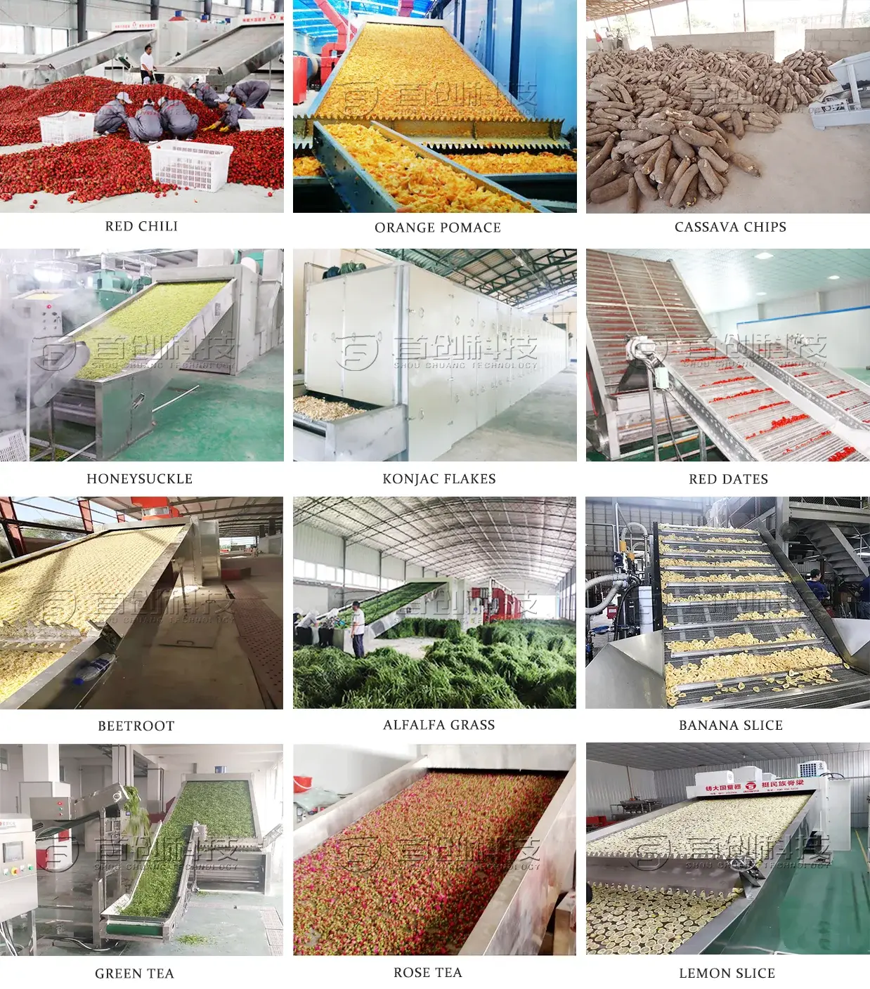 High End Continuous Belt Dryer Manufacturing 3
