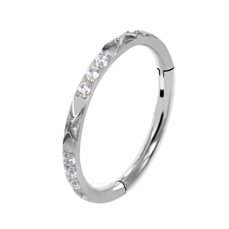 Eternal Metal 16g 1.2mm Astm F136 Titanium Cnc Cz Segment Ring Clicker Piercing Jewelry 1