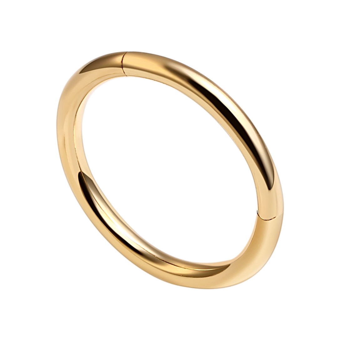 Eternal Metal 14k Solid Gold 14 Gauge Hinged Segment Ring Tragus Nose  Earring Piercing Jewelry 1