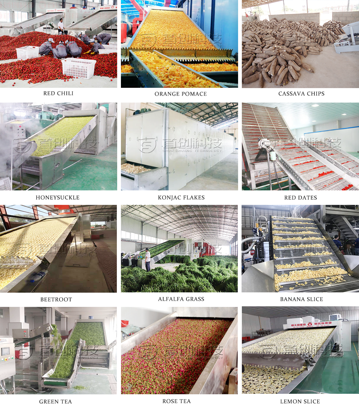 Custom Salad Drying Machine 7