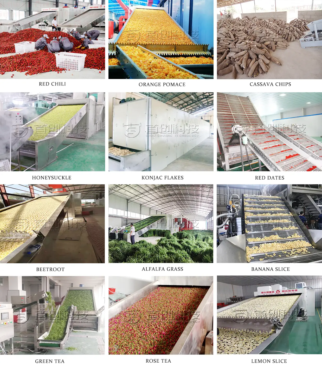 High Quality Small Dryer Machine for Spices 7