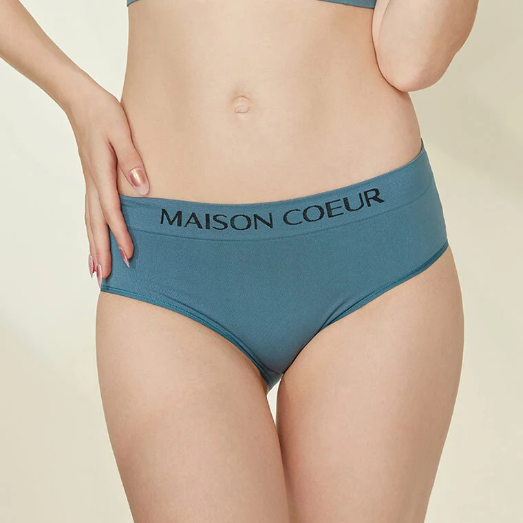 Großhandel Nahtlose Slips Mittlere Taille Legging No Show Dessous Damenhöschen 1