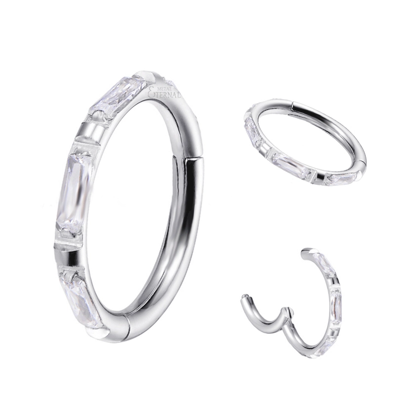 Eternal Metal 16g 1.2mm Astm F136 Titanium Prong Set Rectangle Cz Outer Side Hinged Segment Hoop Rings Body Jewelry 1