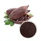Professional Low Carb Cocoa Powder for Baking 3