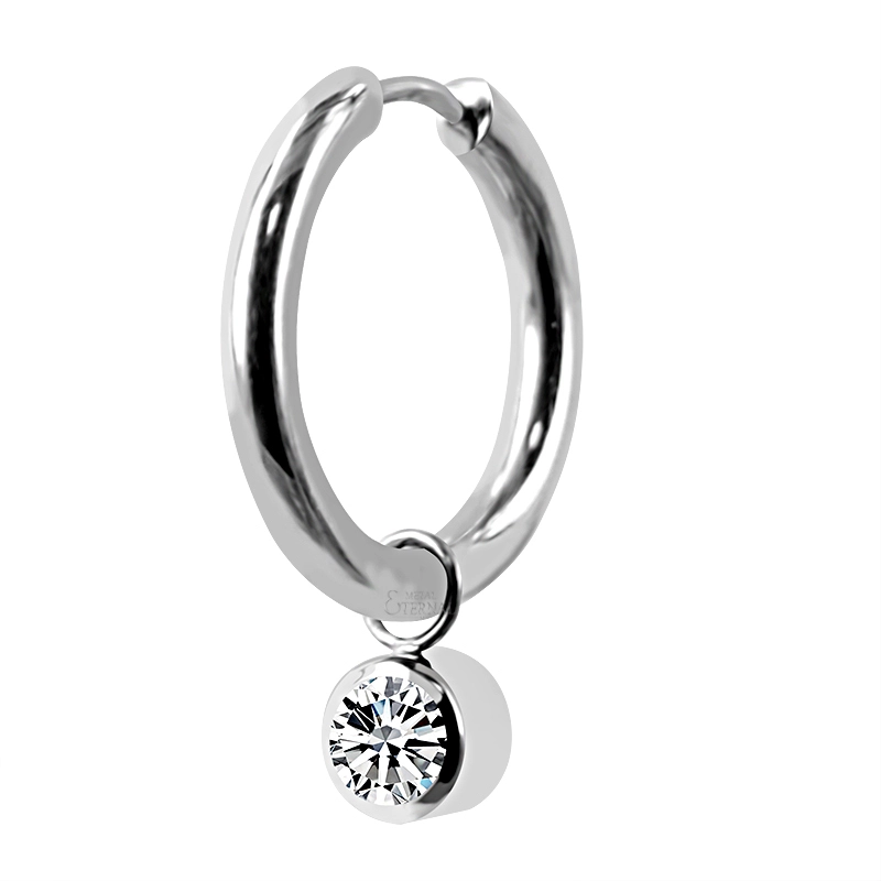 Eternal Metal T2 Titanium Clicker Hoop Ear Rings 1