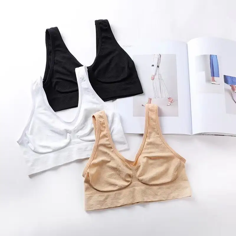 Ladies Gym Wear Manufacturer Price List 3