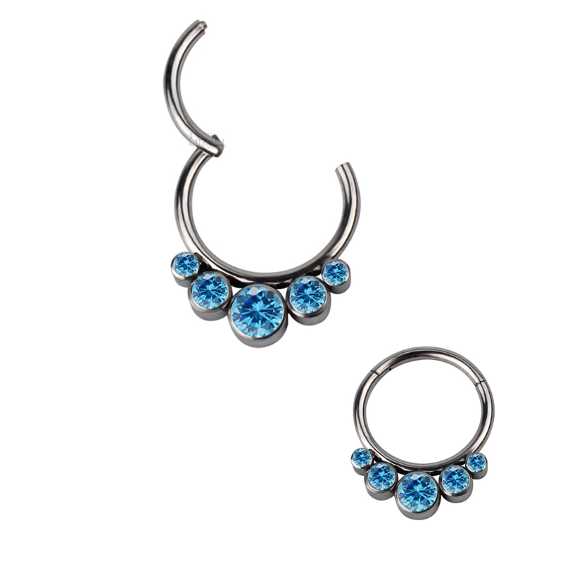 Eternal Metal 16g 5 Outer Bezel Set Cz Astm F136 Titanium Hinged Segment Ring Body Jewelry 1