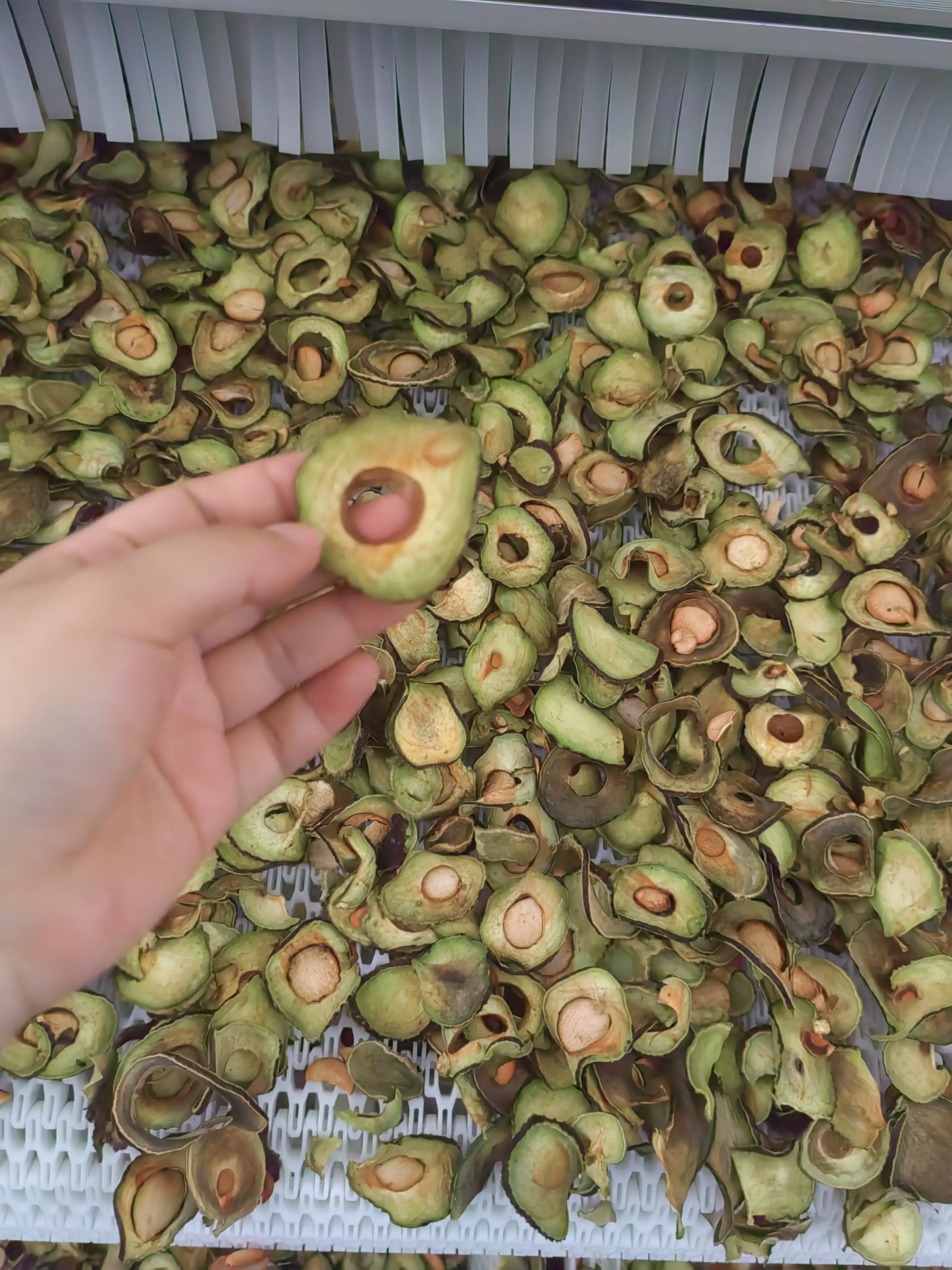 Creative Vegetable Dryer Machine Price Price List 4