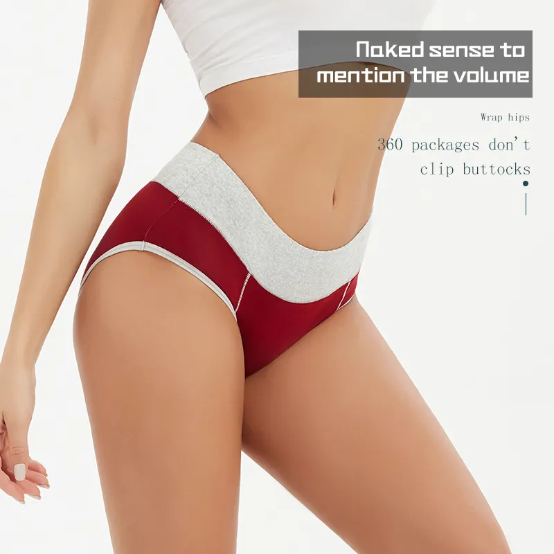High Waisted Maternity Underwear Price List 3