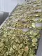 Creative Vegetable Dryer Machine Price Price List 3
