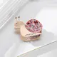 Acetate Claw Clip ACCESSORIES Wholesale - Dowell 4