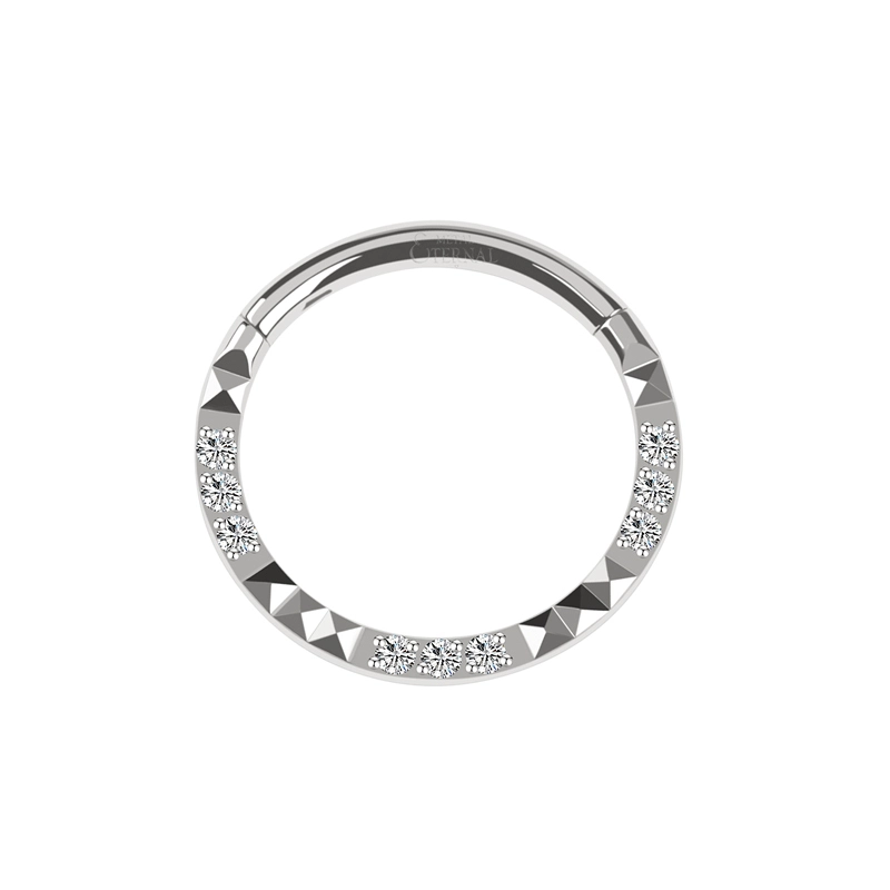Eternal Metal Astm F136 Titanium Implant Grade Diamond Craved And Cz Hinged Segment Ring 1