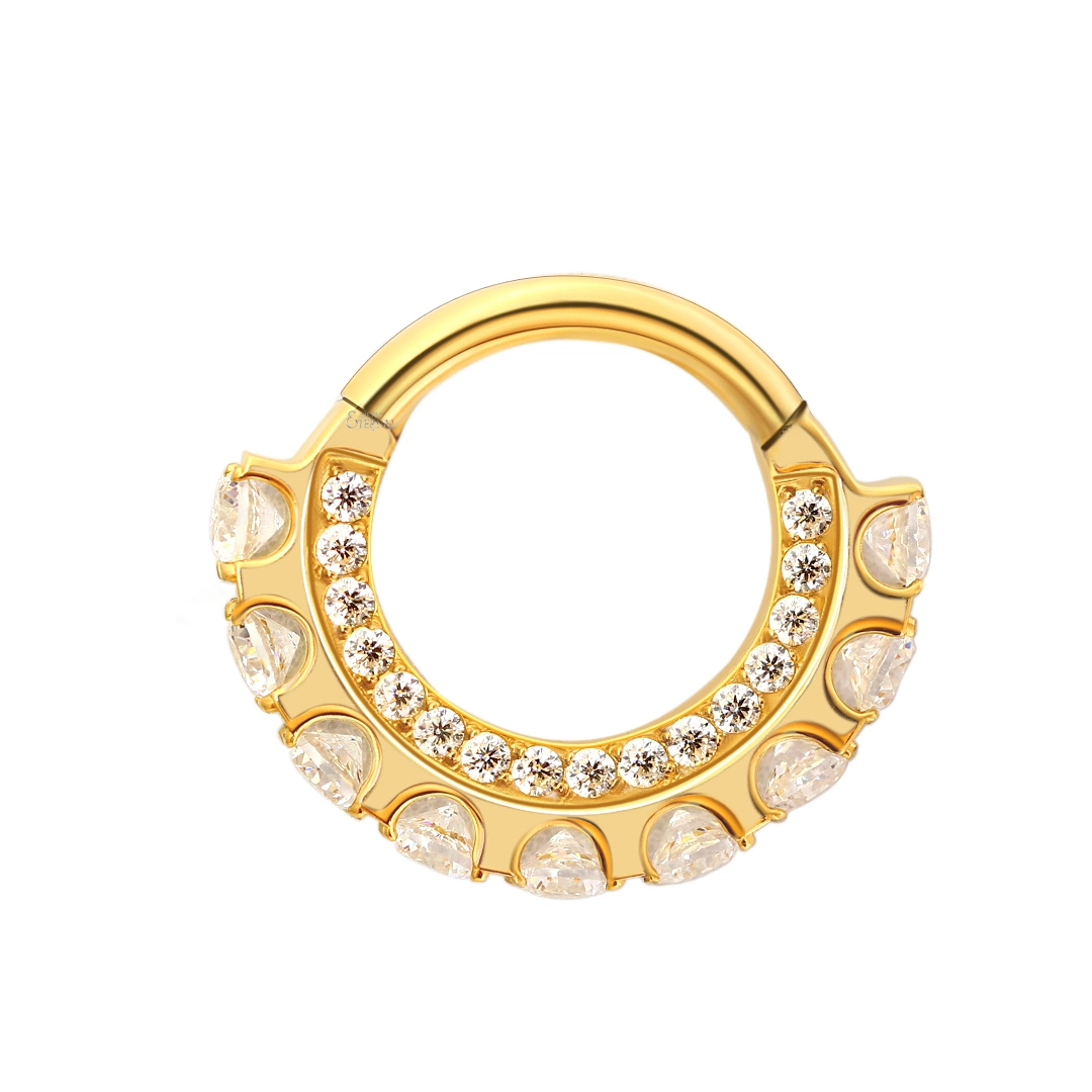 Eternal Metal Astm F136 Titanium Piercing Hinged Segment Ring With White Cz Piercing Jewelry 1