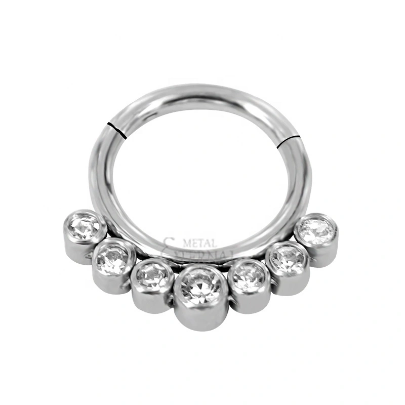 Eternal Metal 16g 1.2mm Astm F136 Titanium 5 Outer Bezel Set Cz Hinged Segment Nose Ring Hinged Jewelry 1