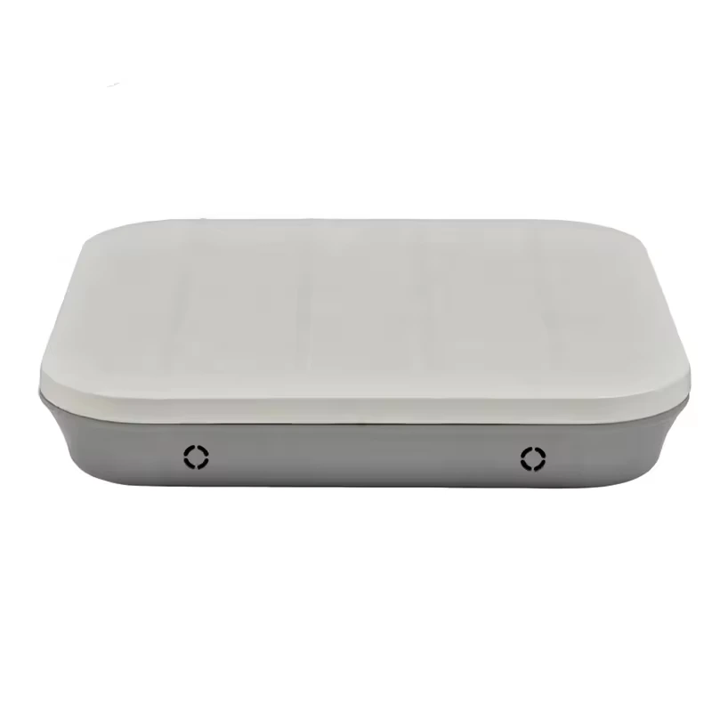 AP3010DN-V2  Indoor Dual-band Access Wireless Point 1