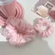 Wholesale Comb Women Girl Lady - - Dowell 5