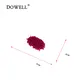 10 Different Types of Combs Hair Accessories by Dowell 3