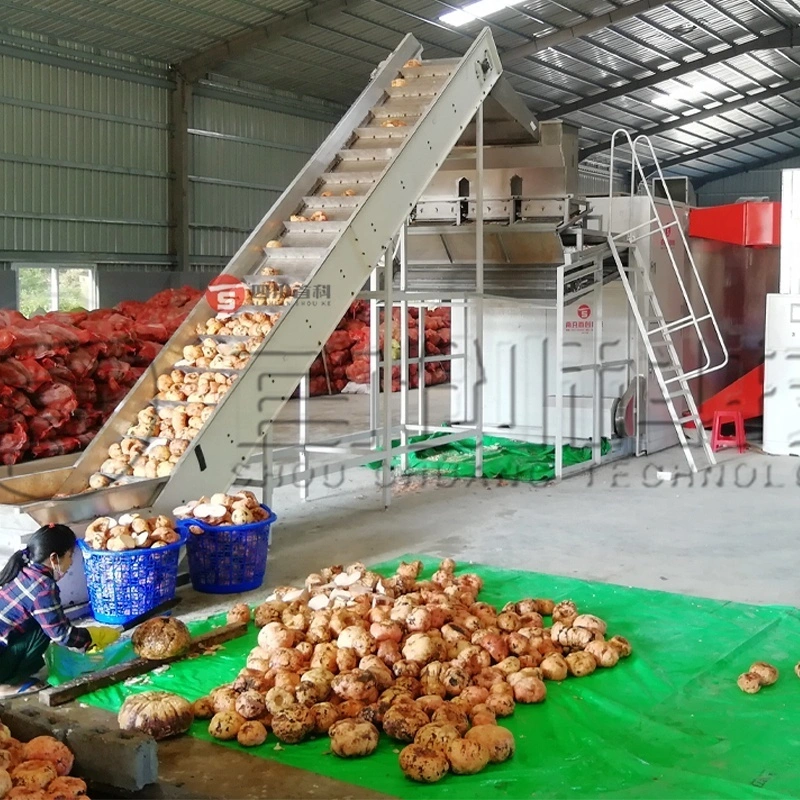 Sécheur de courroie à mailles multicouches industrielle 10 tonnes pour les légumes aux fruits 1