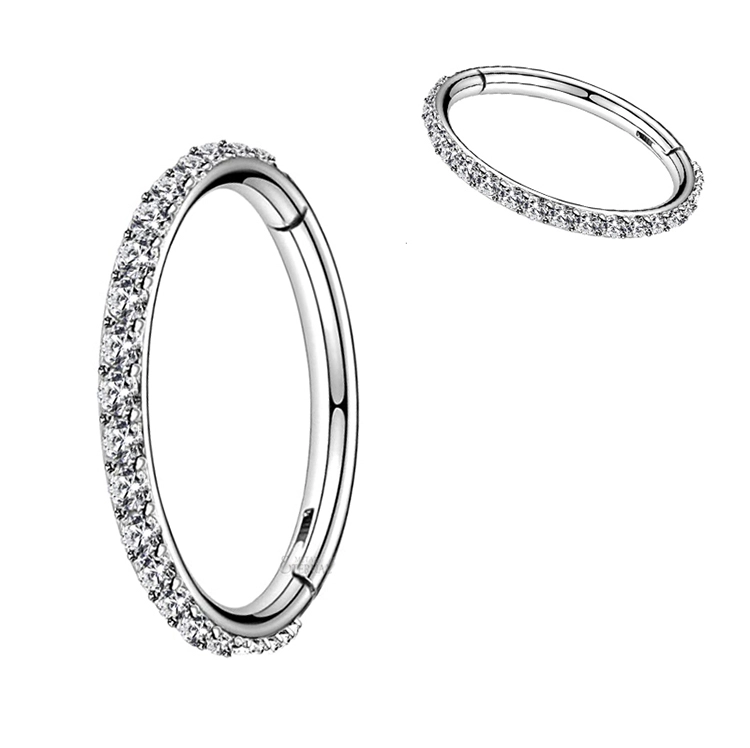 Eternal Metal 18g Astm F136 Titanium Cnc Set Cz Pave Outer Side Hinged Segment Hoop Rings Body Jewelry 1