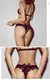 Bra for Women Picture Shows - - 4