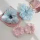 Wholesale Comb Women Girl Lady - - Dowell 4