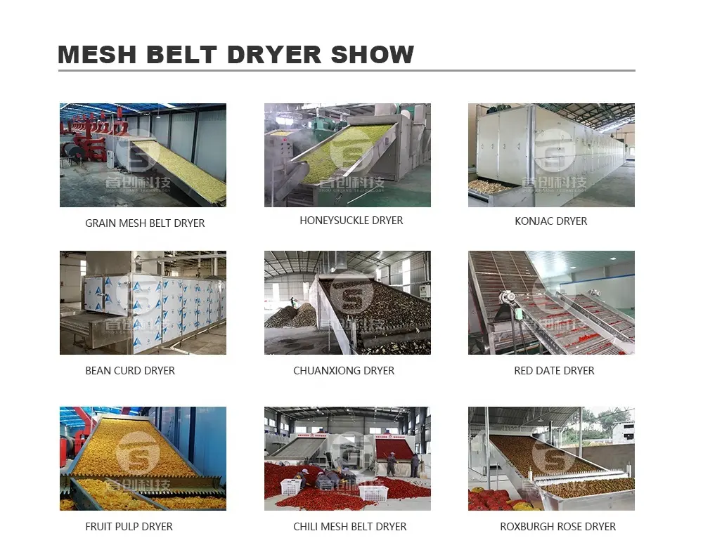ShouChuang Vegetable and Fruit Dryer Machine Spice Mesh Belt Dryermanufacturer 7