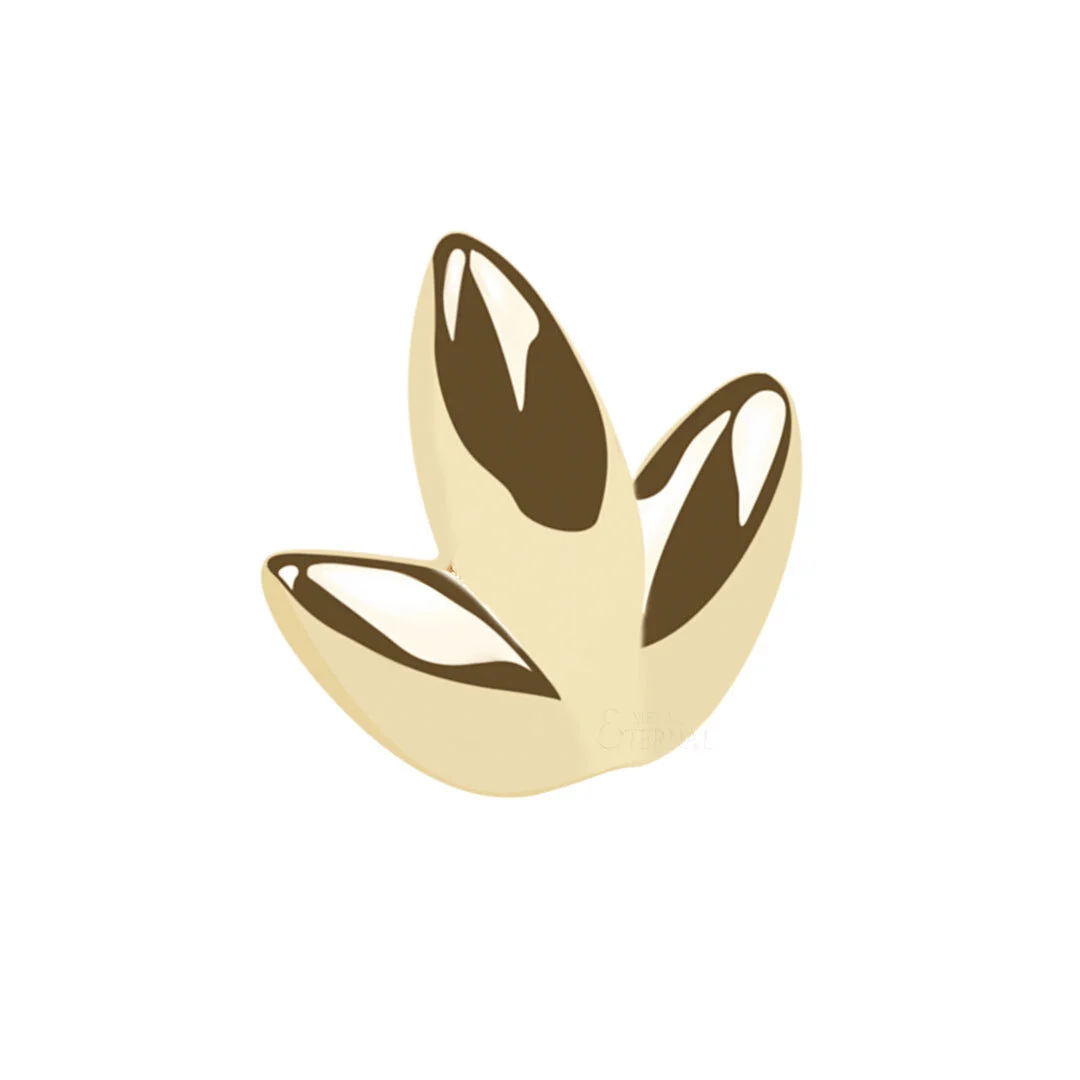Eternal Metal 14kt Gold 3 Leaf Low Profile Threadless Top Piercing Jewelry 1