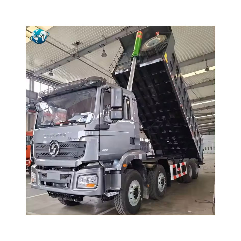 8x4 12 Колеса сбрасывать грузовик на продажу | Луи 6