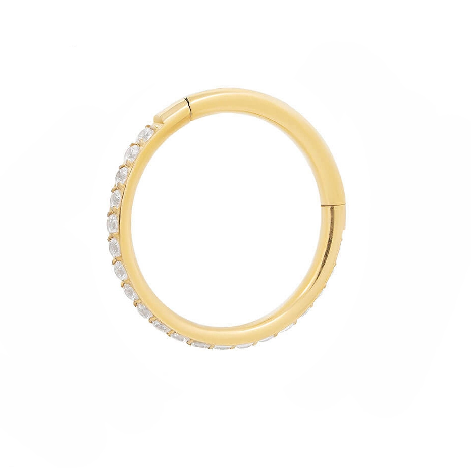 New Arrival Eternal Metal Astm F136 Titanium Hinged Segment Clicker Gold Nose Ring Piercing Ear Tragus 1