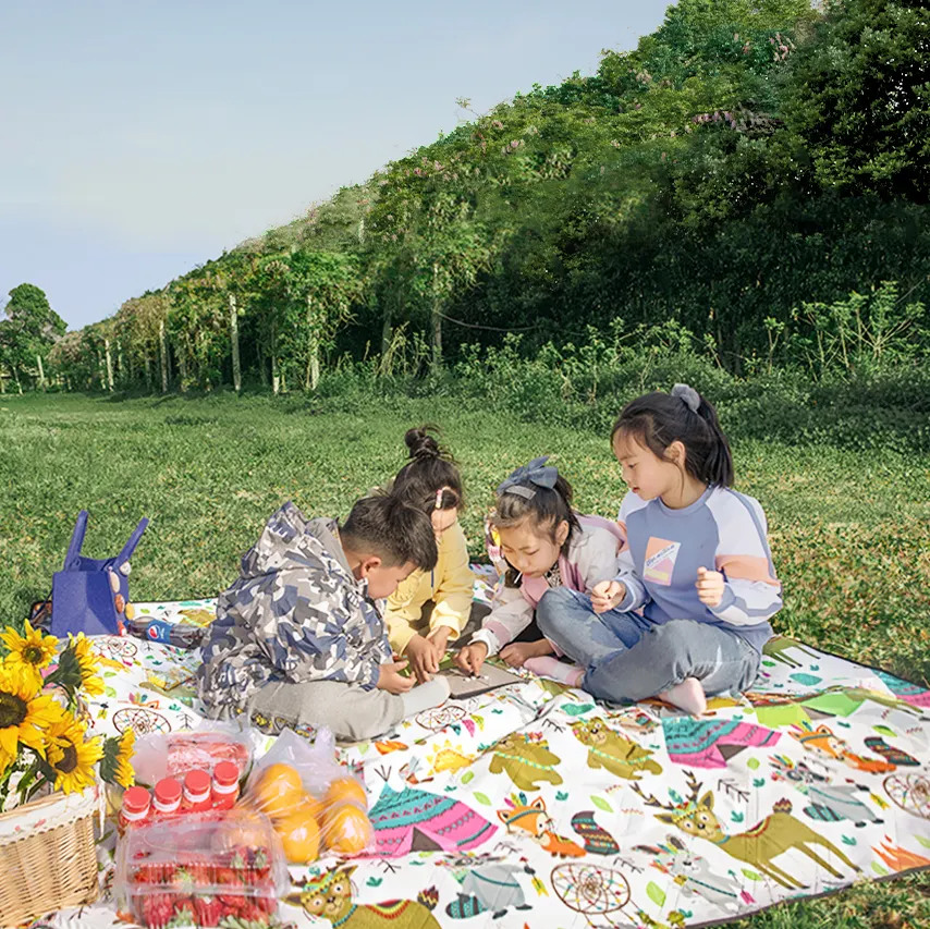 Beidou Outdoor Waterproof Camping Blanket PM-001-S Waterproof Camping BlanketMaker 6