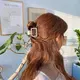 Plastic Hair Combs Opp Bag Wholesale - Dowell 4