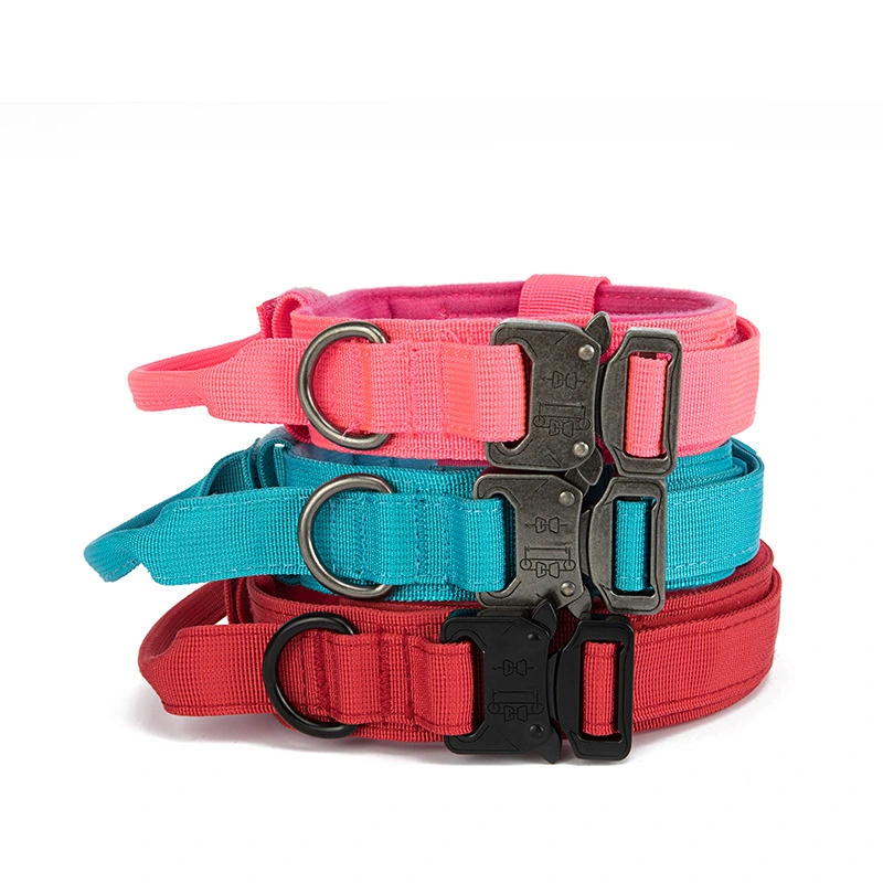 Wholesale Tactical Dog Collar Adjustable Training Nylon Dog Collar with Control Handle and Heavy Metal Buckle for Medium and Large Dogs-xinchen 1