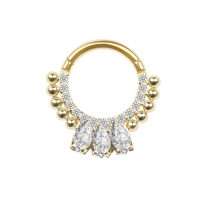 Eternal Metal Astm F136 Titanium Cnc Setting Zircon Beaded Nose Daith Ear Clicker Piercing Body Jewelry 1