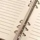 Customized Handwritten Diary in many styles for Home 4