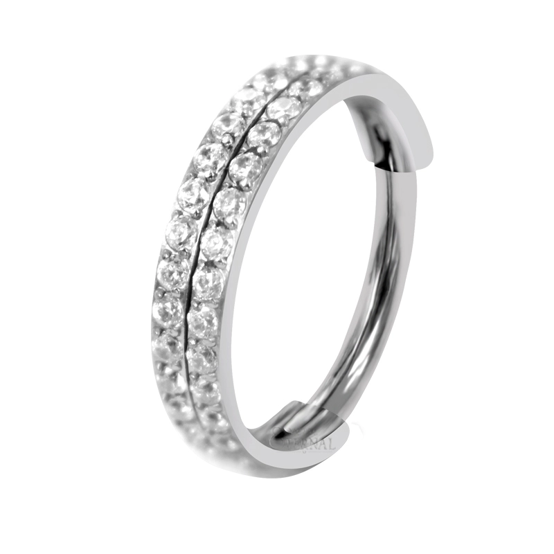 Eternal 16g Titanium 2 Line Cz Stone Prong Set Nose Piercing Hinged Astm F136 Piercing Segment Ring 1