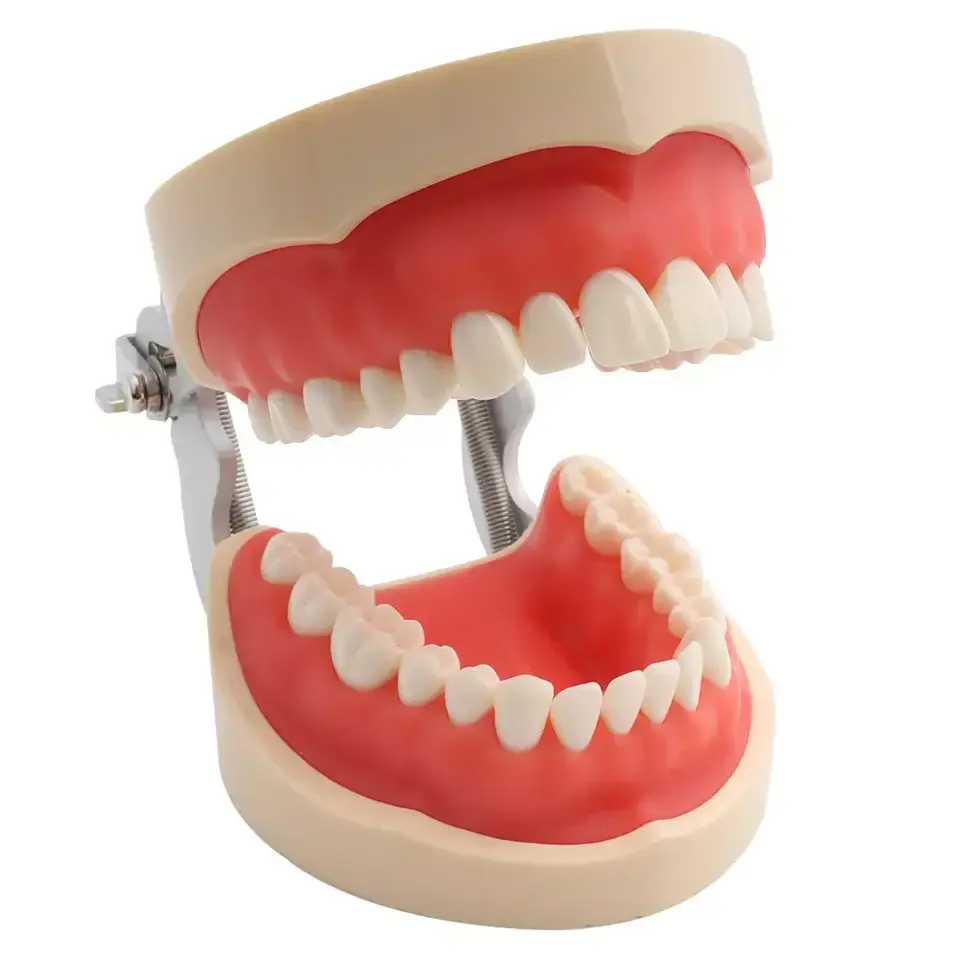 Dental Instruments Suppliers Turbine - - DINUO 3